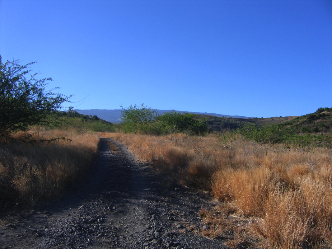 3 - Le chemin au depart.jpg